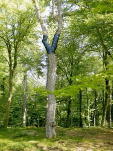 Coffin: Baum trägt Jeans